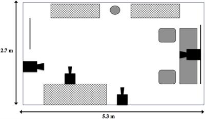 Physiological Indicators of Attachment in Domestic Dogs (Canis familiaris) and Their Owners in the Strange Situation Test